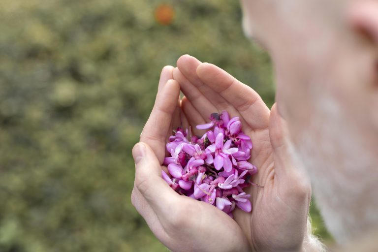 Flores de Bach y su lección floral o virtudes